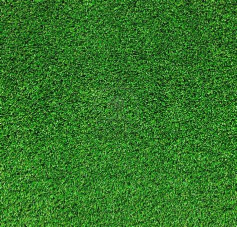 Green Grass Texture Royalty Free Stock Photo Pictures Images And