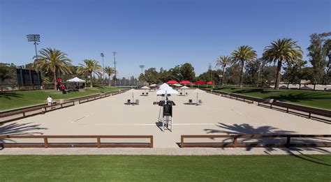 Discovering the Hidden Gems of Stanford's Beaches - MRCSL
