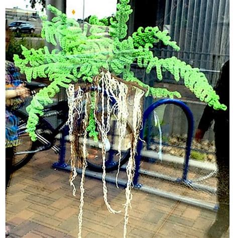 Ravelry Felicious Maidenhead Fern With Root System Root System