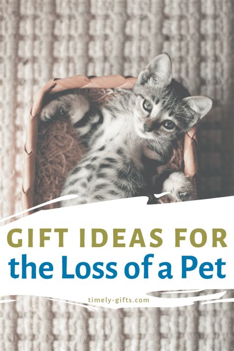 Table of contents show 11. Pet Loss Gifts Ideas for Grieving Pet Owners | Timely Gifts