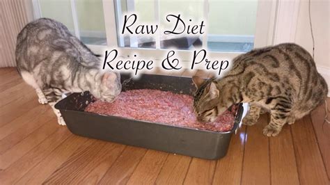 Ground rabbit (meat, bones, and liver): Raw Cat Food Recipe - YouTube