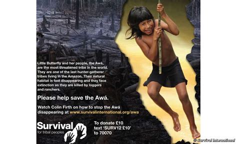 today s blogal campaigners target rio 2016 exhibition over ‘earth s most threatened tribe