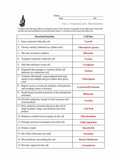 Organelles of the animal cell worksheet. Beautiful Cell Structure and organelles Worksheet ...