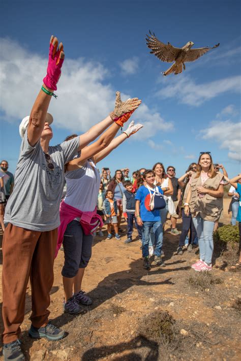 Countdown Begins For Sagres Birdwatching Festival Portugal Resident