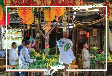 Check spelling or type a new query. How to Buy Flower Wholesale? - Flower Wholesale in Singapore