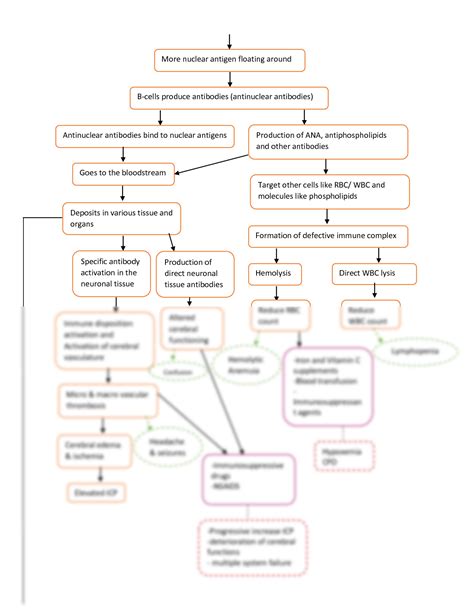 SOLUTION Pathophysiology Of Systemic Lupus Erythematosus Sle Diagram