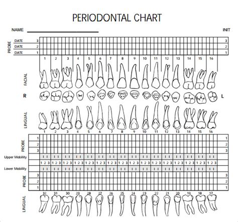 Perio Charting Template