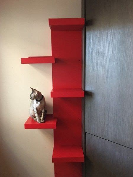 Take the time to build cat shelves: Pin by Galaxy Cats on Cat tower in 2020 | Cat ladder, Ikea ...