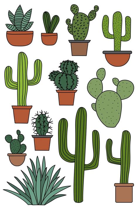 Succulents Drawing Cactus Drawing Cactus Painting Cacti And