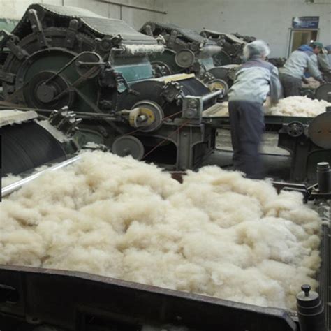 How To Process The Raw Wool Sheep Wool Carbonized Wool Wool Top