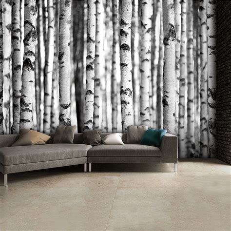Black And White Birch Trees Wall Mural 315cm X 232cm Wit Behang