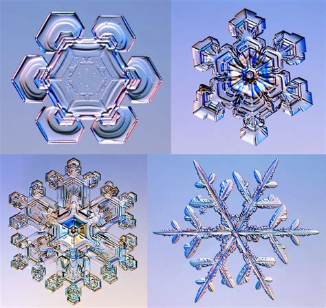 Snowflakes Under A Microscope Via Reddit