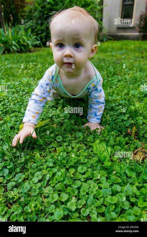 Baby In Grass Hi Res Stock Photography And Images Alamy