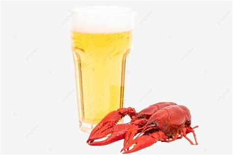 Crawfish Beer Crayfish Beer Food PNG Transparent Image And Clipart