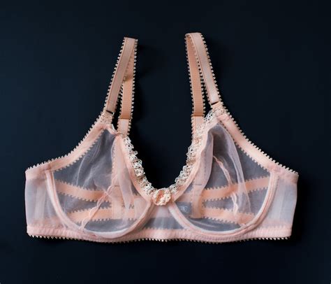 See Trough Bra Lingerie See Through Sheer Bra With Ruffles Etsy