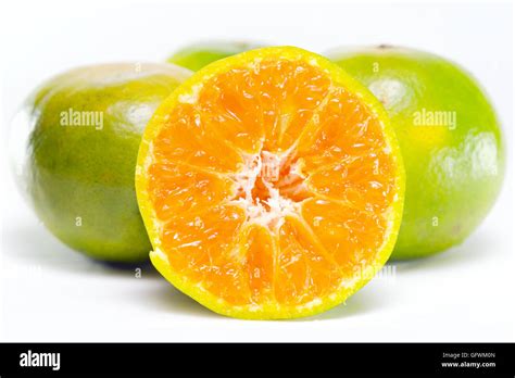 Orange Fruit Other Names Are Les Oranger Sweet Orange Citrus