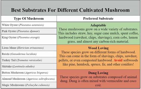 Mushroom Substrates 101 In Depth Guide To Mushroom Substrates