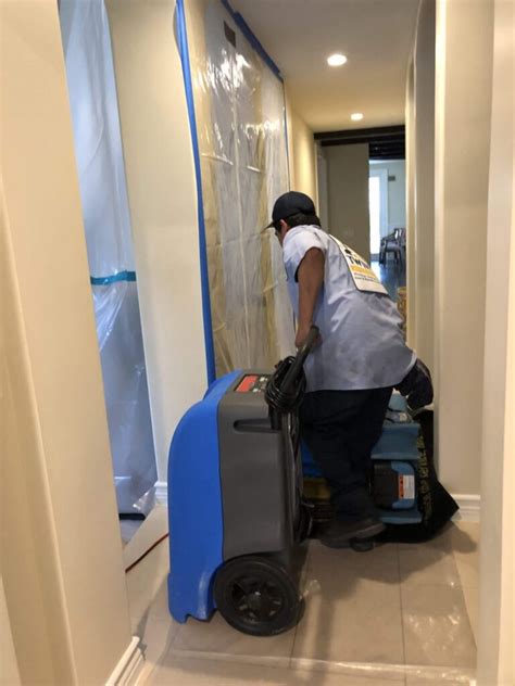 Professional mold inspections and testing performed by professional mold inspectors. What Is The Mold Inspection Process In Los Angeles?