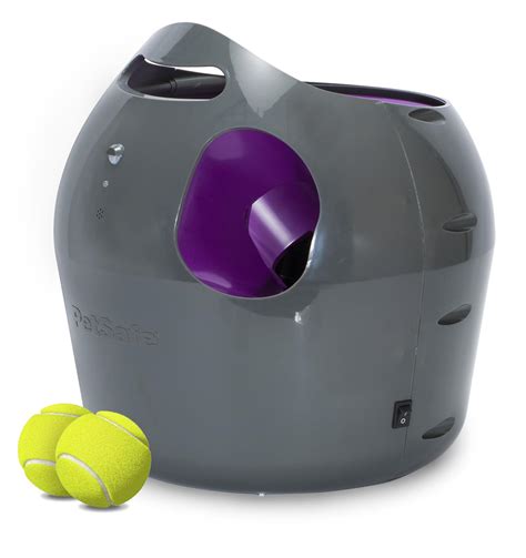Petsafe Automatic Ball Launcher Review Dog Care Hq