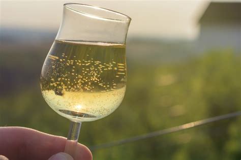 Types Of Spanish Dry White Wine Leaftv