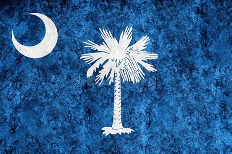 Metallic South Carolina State Flag South Carolina Flag Background