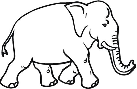 Gambar Gambar Mewarnai Gajah Terbaru Gambarcoloring Karikatur Di