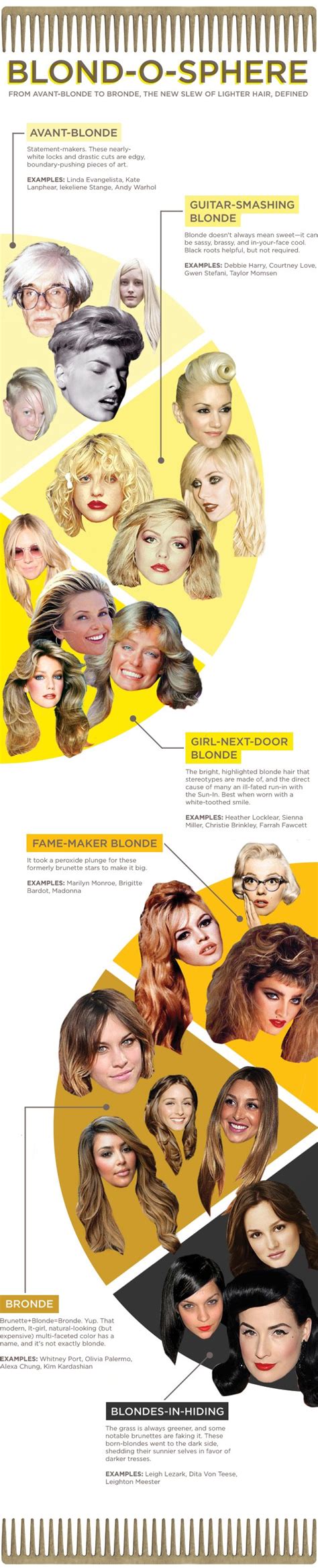 Blonde To Bronde Hair Facts Infografía Hair Facts Bronde Hair Hair