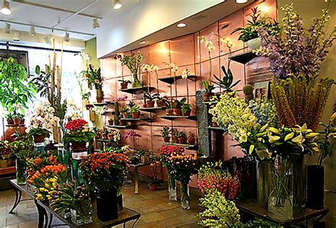 Flower Pictures Flower Shops