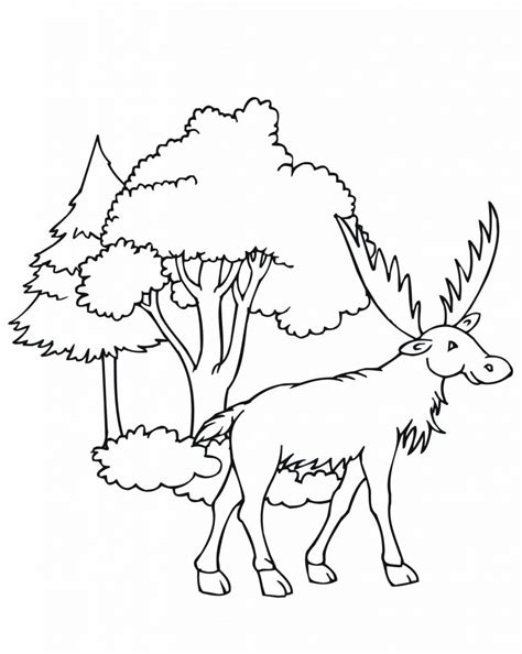 Moose coloring book is a collection of children's pictures with the closest relatives of deer. Free Printable Moose Coloring Pages For Kids