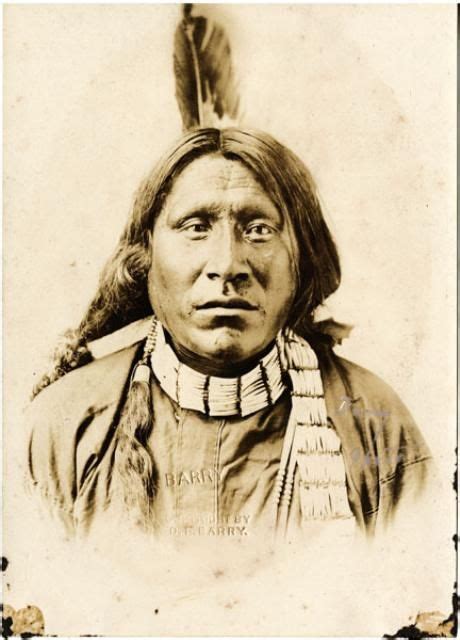 Chief Old Wolf ~ Colorado ~ Ute ~ 1880 Native American Pictures Native