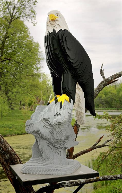 Funke Photos Bald Eagle Lego Sculpture