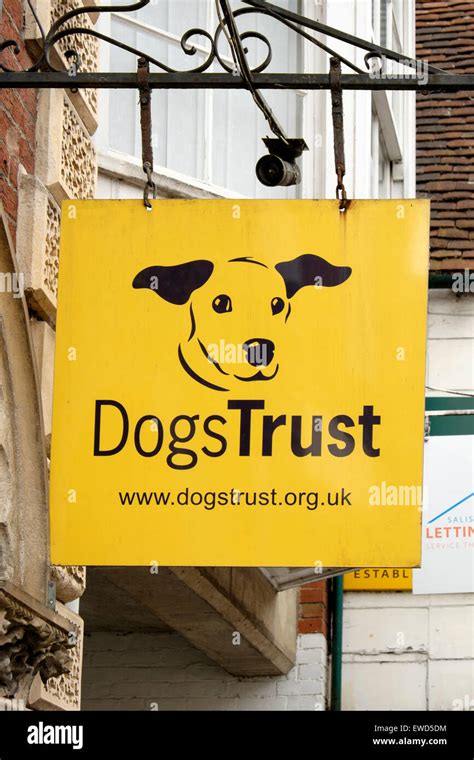 Dogs Trust Charity Shop Hi Res Stock Photography And Images Alamy