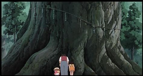 My Neighbor Totoro Respect Camphor Tree Studio Ghibli Background