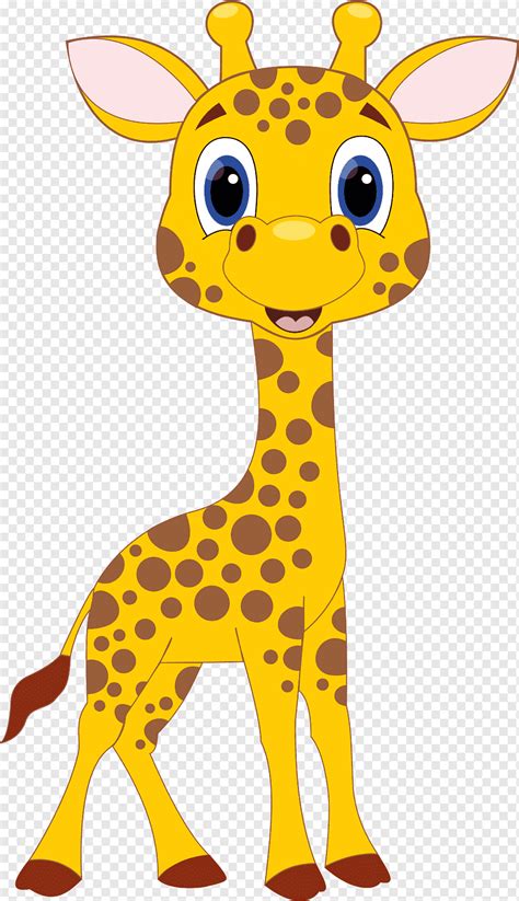 Giraffe Drawing Cartoon Giraffe Mammal Animals Vertebrate Png Pngwing