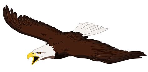 Free Eagle With Transparent Background Download Free Eagle With
