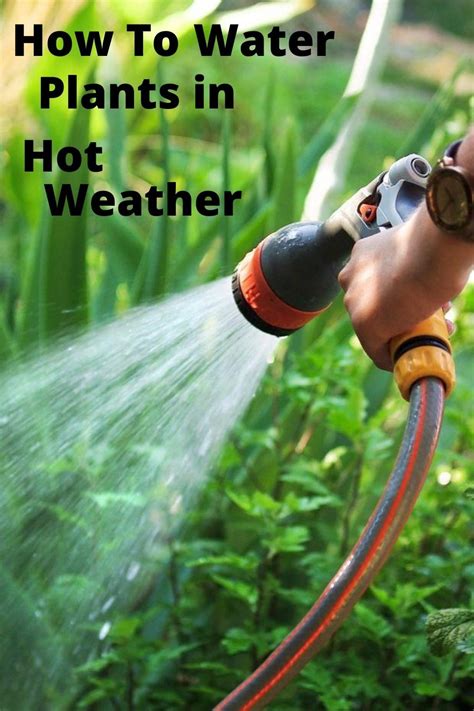 How To Water Plants In Hot Weather ~ Garden Down South Water Plants