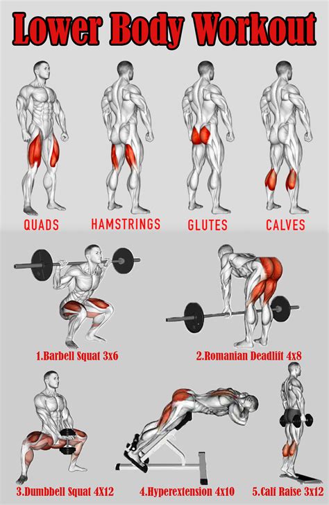 Lower Body Workout Lower Body Workout Fitness Body Lower Body Workout Routine