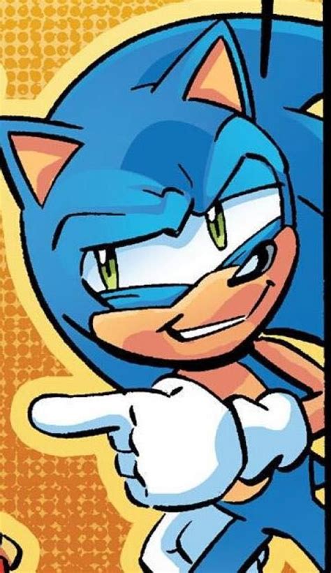 1080x1080 Gamerpic Sonic Expectations Vs Reality Sonic The Hedgehog