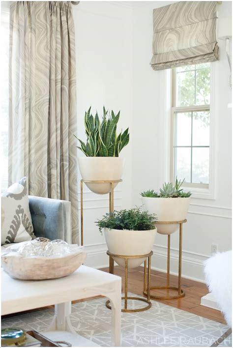 15 Amazing Ideas To Display Your Indoor Plants