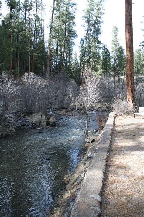 Texas vacations and san antonio cabins near me! New Mexico Camping: San Antonio Group Campground