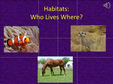 Ppt Habitats Who Lives Where Powerpoint Presentation Free Download
