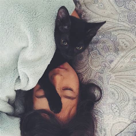 If your cat's drooling occurs constantly, there may be a health problem going on. "Wake up, Mom! its CATURDAY!!!!" 😴😹 😺 (With images) | Cats ...
