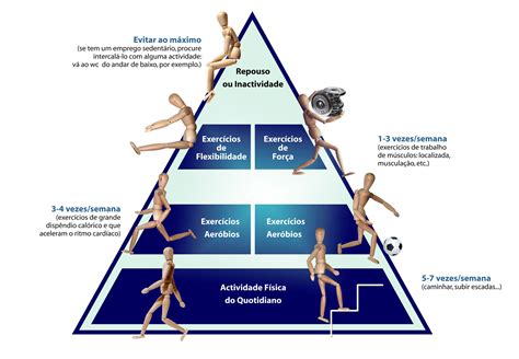áreas Da Educação Física