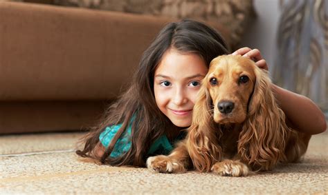 Can Pets Help Children Feel Less Anxious Georgetown Psychology