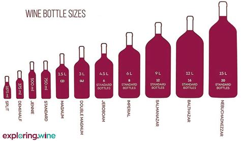 The Different Sizes Of Wine Bottles Exploring Wine