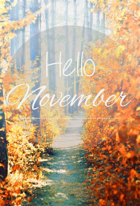 November Background Kolpaper Awesome Free Hd Wallpapers