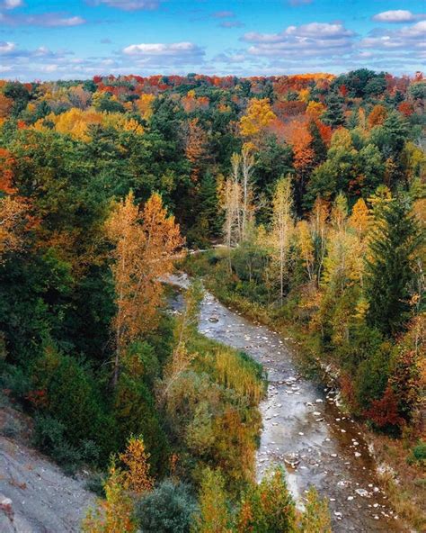 5 Parks To See Stunning Fall Foliage In Toronto Photos Curated