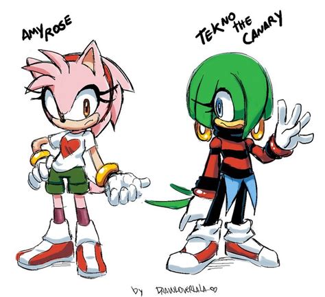 Amy And Tekno By Drawloverlala On Deviantart Sonic Fan Characters