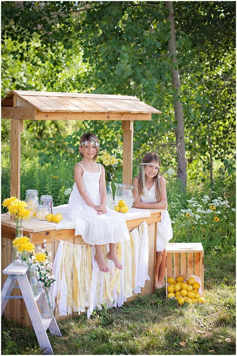 boho style lemonade stand minis aura photography by colleen fougere lemonade stand image