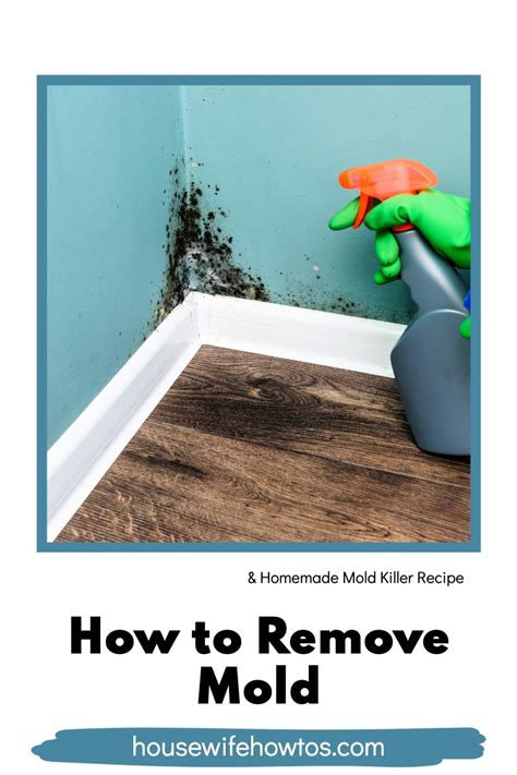 Remove Mold From Walls Expert Tips And DIY Mold Killer Sprays A Cleaning Expert Explains